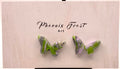 Mini Butterfly Studs - Biosphere Collection